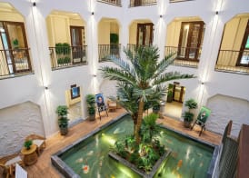 Little Oasis - An Eco Friendly Hotel & Spa 2