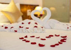 Luxury Backpakers Hotel 5