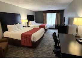 Comfort Inn & Suites Tampa North I-75 3