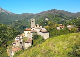 Agriturismo Summer 4
