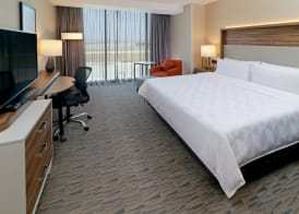 Holiday Inn & Suites MEXICO FELIPE ANGELES AIRPORT by IHG 5