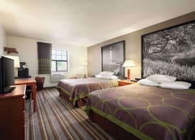 Super 8 by Wyndham Colorado Springs/Afa Area 5