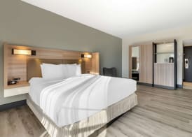 Best Western Plus Atlanta Airport East 4