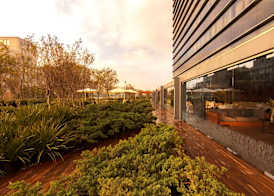 Hilton Mexico City Reforma 3