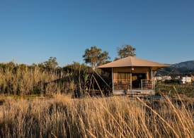 Camping Elizabeth 4