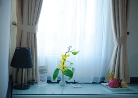Hanoi Solo Hostel 3