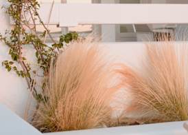 Mon Signor Adults Only Boutique Hotel - Kamari Santorini 5