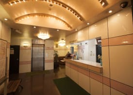 Weekly Green In Namba 3
