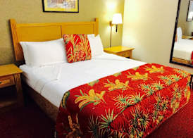 Caliente Tropics Hotel 3