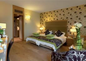 Divani Meteora Hotel 5