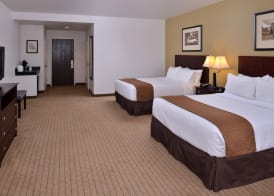 Holiday Inn MADISON AT THE AMERICAN CENTER by IHG 2