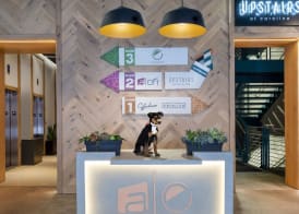 Aloft by Marriott Austin Downtown 2
