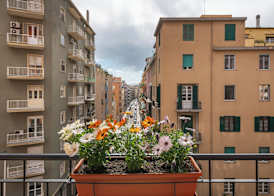 Thanit Rooms 3