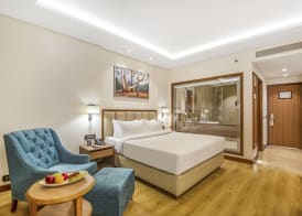 Golden Tulip Jalandhar 5