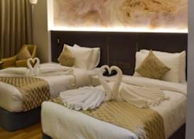 Tulip Inn Shravasti 5
