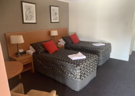 The Grapevine Motel 4