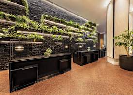 JW Marriott Auckland 2