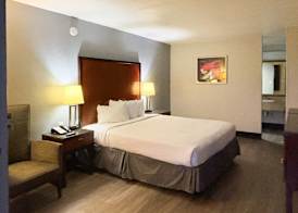 Motel 6 Mesa, AZ - Downtown 5