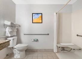 Comfort Inn & Suites Suwanee - Sugarloaf 5