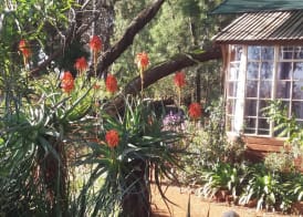 Woodland Gardens Self catering Pet Friendly Lodge 4