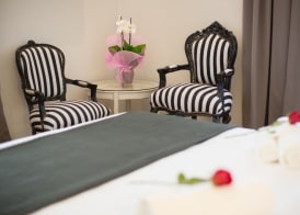 Ara Suite 3