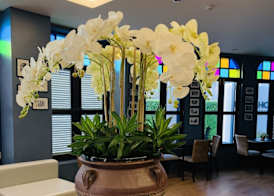 Baba House Phuket Hotel 3