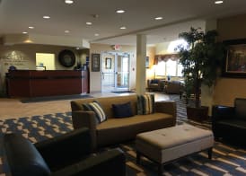 Microtel Inn & Suites by Wyndham Indianapolis Airport 3
