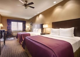Best Western Giddings Inn & Suites 5