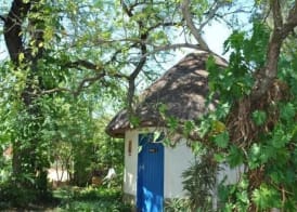 Blue Cottages 3