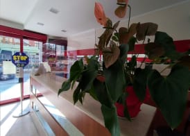 Hotel Principe Eugenio 3