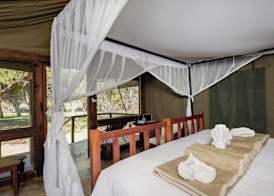 Elephant Valley Lodge 5