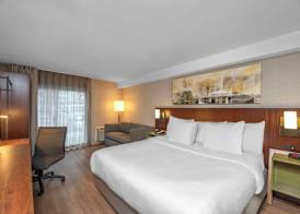 Comfort Inn South 5