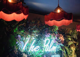 The Palm 2