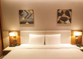 Hotel Skypark Central Seoul Pangyo 4