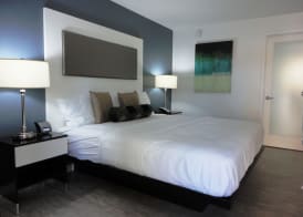 Lotus Boutique Inn and Suites 5