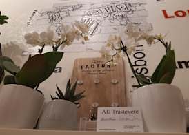 AD Trastevere Guest House 2