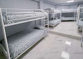 Hostel Las Rosas 5