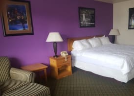 Retro Inn at Mesa Verde 5