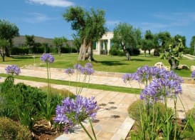 Masseria Torre Del Diamante 5