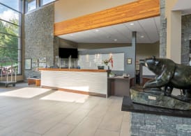 Best Western Plus Revelstoke 3