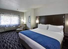 Holiday Inn Express & Suites Birmingham South - Pelham, an IHG Hotel 5
