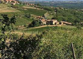 Le Clos des Fayettes 3