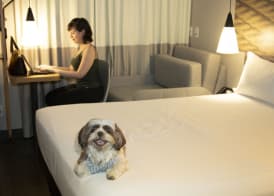ibis Sao Paulo Tatuape 3