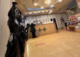 Hotel Sir Orhideea 3