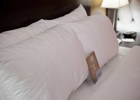 Comfort Inn 5