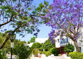PAPHOS GARDENS HOLIDAY RESORT 2