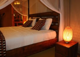 Serengeti Safari Lodge 5