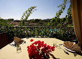 Hotel Mariposas 4