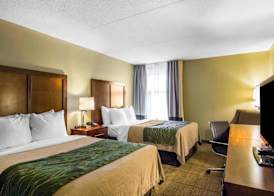 Quality Inn 3
