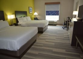 Holiday Inn Express & Suites CARYVILLE by IHG 4